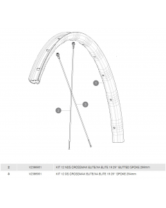 ΑΚΤΙΝΕΣ MAVIC CROSSMAX ELITE / XA ELITE 298mm NON DRIVE SIDE