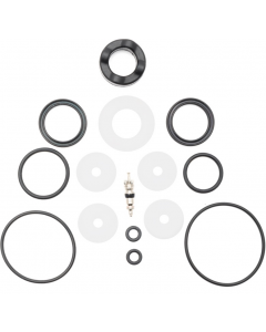 SERVICE KIT CANNONDALE LEFTY OLIVER 100 HOURS