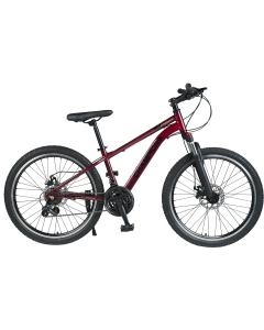 ΠΟΔΗΛΑΤΟ CHAMPIONS KAUNOS LT DISC SIS 24''